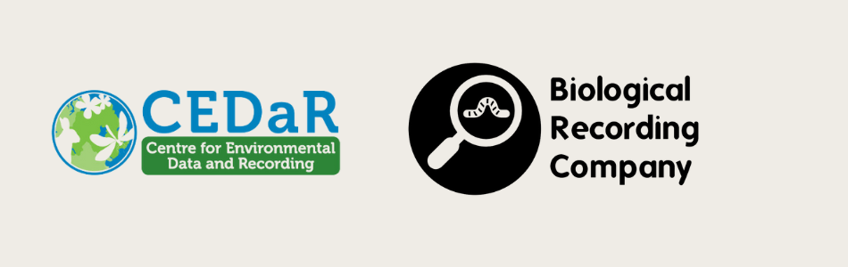 Centre for Environmental Data and Recording and Biological Recording Company logo