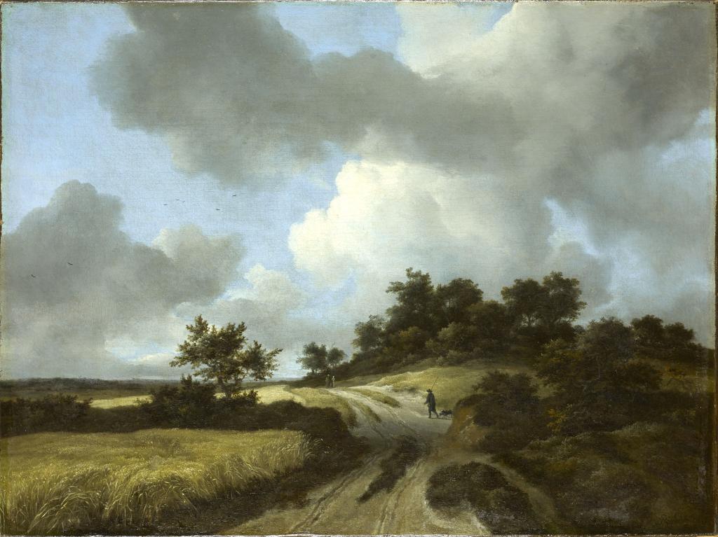 The Cornfield